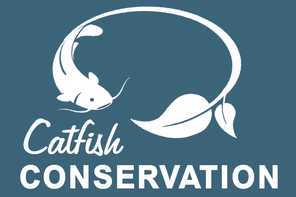 Catfish Conservation White Home Page Logos