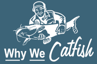 Why We Catfish White Home Page Logos