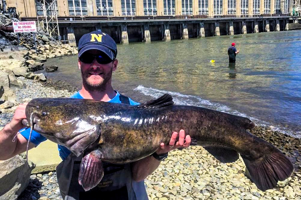 Why We Catfish: A Guest Editorial by Jake Jellison, Top Tactic Fishing -  Catfish Now