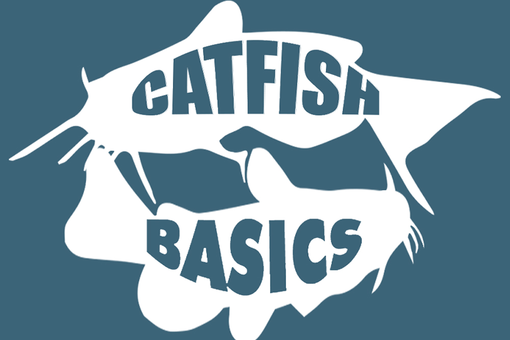 Catfish Basics #098 – Suspending Tips – Wesley Mann, Spread Em