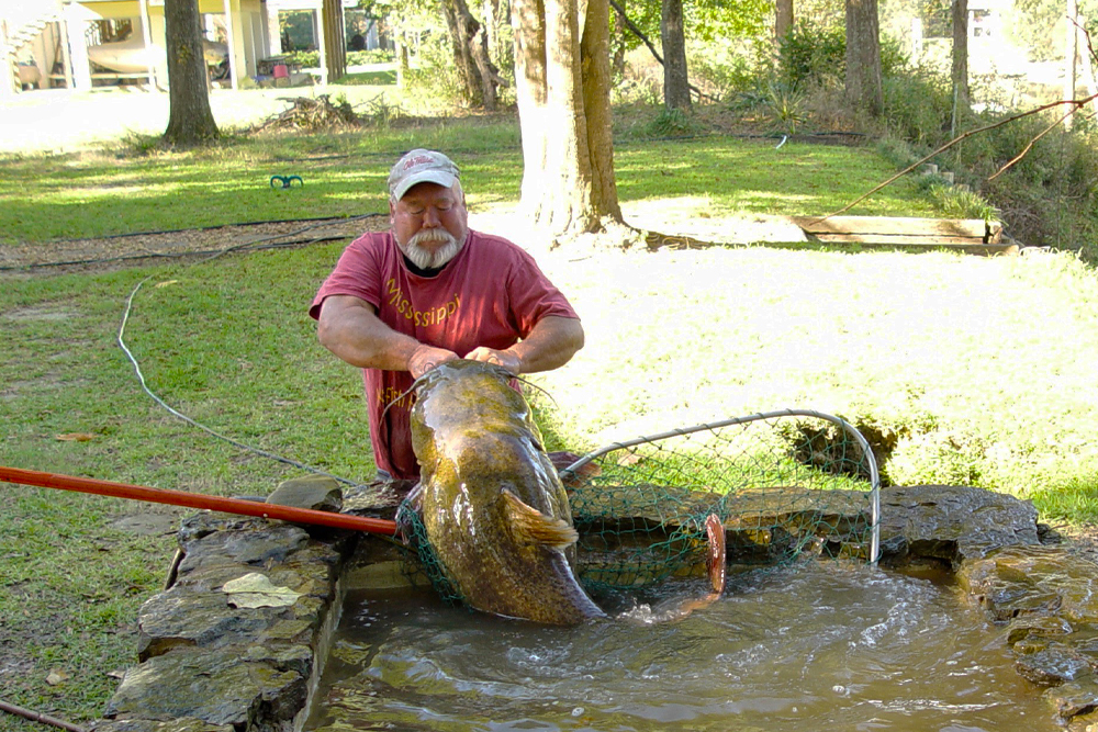 How to Certify a Record Catfish - Catfish Now