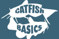Blue button on home page for catfish basics