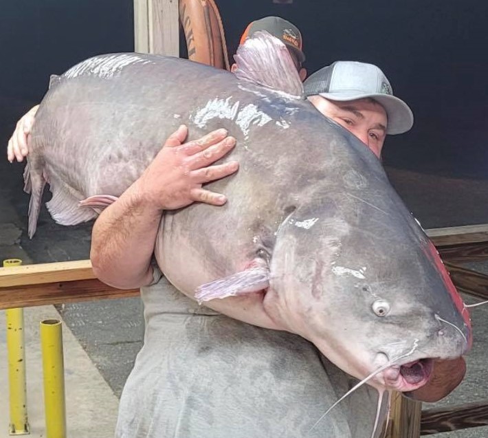 Planning for the Night Bite Results in State Record Blue Cat for Rocky  Baker - Catfish Now