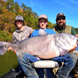 The trio fished hard for a full day, catching a total of eleven catfish. But besides the two catfish weighing in at more than 100-pounds each, Woody Cabe caught this massive blue catfish weighing 55 lbs. Capt. Ty Konkle says you cannot always catch such monsters, but he believes the deep waters of 26-mile-long Tennesse River Gorge harbors more monster cats than most other sections of the Tennessee River. (Photo: Capt. Ty Konkle)