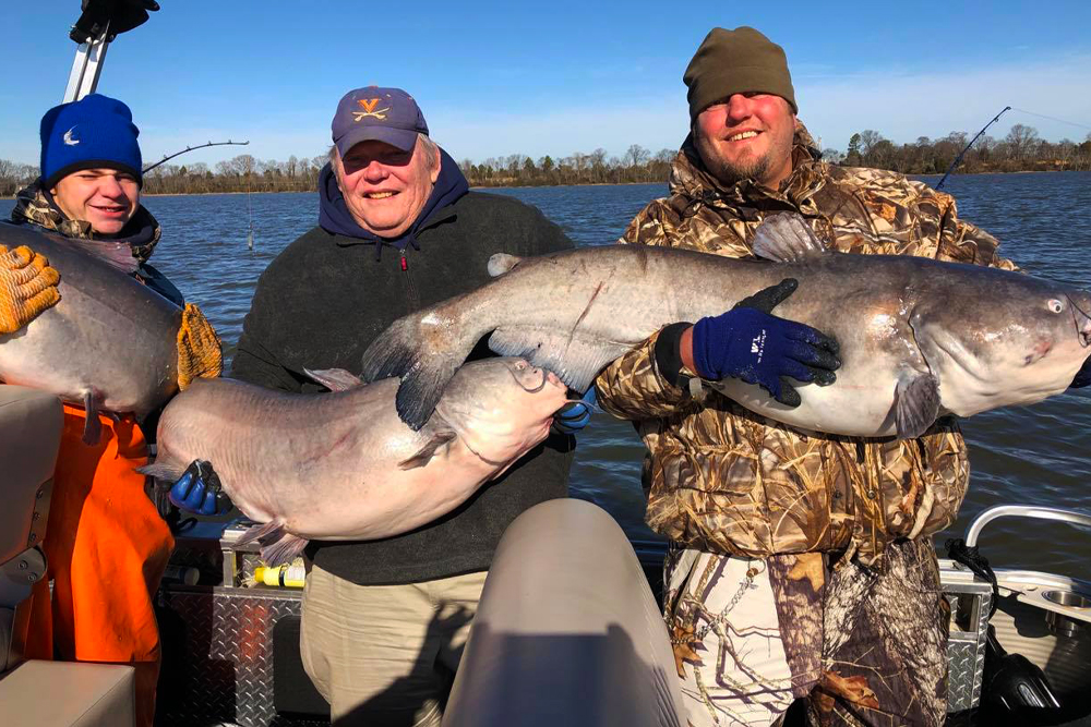 Tidal Trophies of the James River - Catfish Now