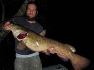 Early Spring Flatheads - Catfish Now