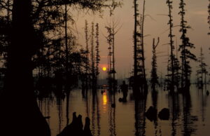 The sun sets on beautiful Lake Conway. This 6,700-acre impoundment, the largest ever built by a state game-and-fish agency, is chock-full of stumps and standing timber. (Photo: Keith Sutton)