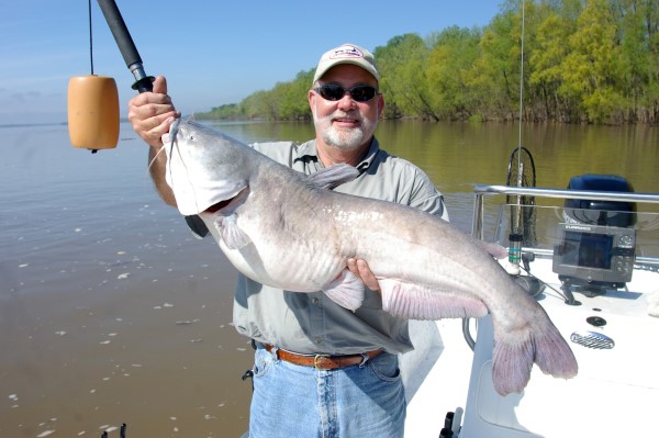 Drift-fishing: An Ideal Tactic for Summer's Blue Catfish - Catfish Now
