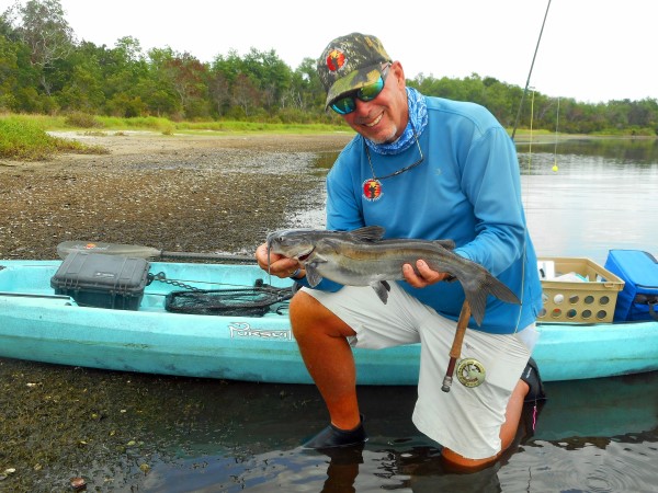 Whiskers & Feathers: Channel Cats on Fly in Florida - Catfish Now