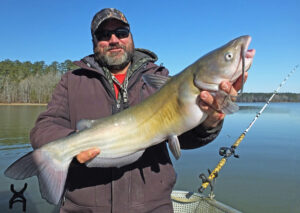 Channel cats flourish at Clarks Hill Lake with double-digit size fish very realistic.