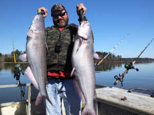 Guide Chris Simpson said the blue catfish population is expanding rapidly and hooking doubles is not uncommon.