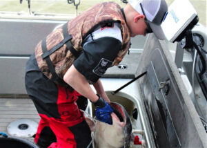 Hayden is a hands-on angler. He is shown here pulling a 35-pound blue cat from the livewell at a catfish tournament.  