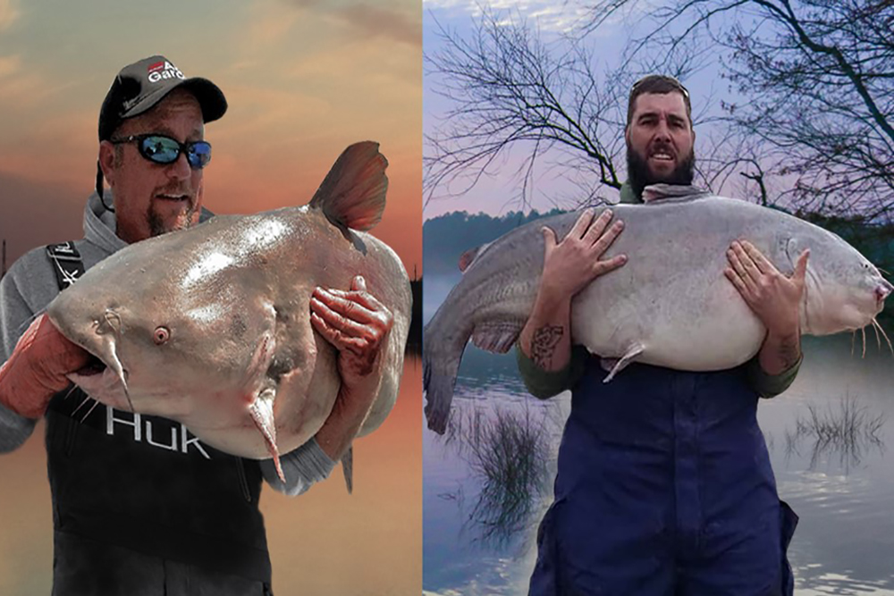 Two Winter Destinations for Trophy Catfish