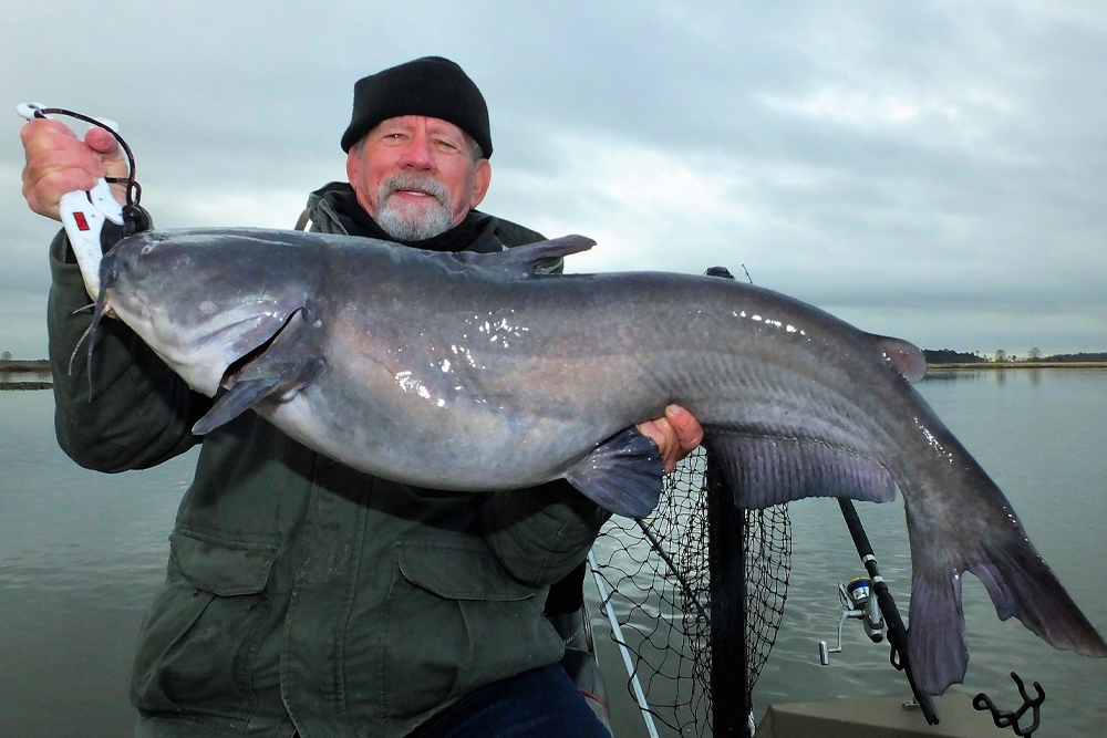 Remarkable Round Reels for Catfish - In-Fisherman