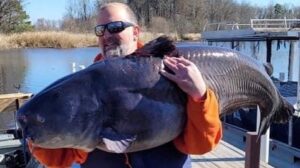 Brad McCall joined the 100-Pound Club with this 103 pound blue form Santee Cooper in February, 2021. 