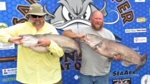 McCall and his tournament partner, Mike Durham, are shown here with two nice blues they weighed at the 2019 Black’s Camp Big Cat Shootout event. They had a total of 153.05 pounds in 4 fish to win the 2-day tournament. 