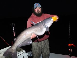 Guide Spencer Hodges holding big blue cat while anchored after April night catfishing