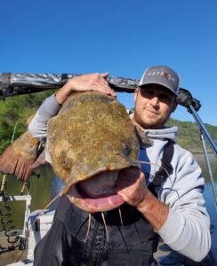 Joe Granata is shown here with another example of his skills for catching flatheads. He says that chasing trophy flatheads challenges and inspires him. 