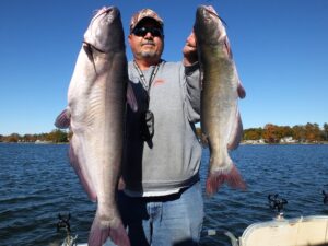 Lake Murray guide William Attaway said blue catfish are his primary target but big channel and flathead catfish are caught using the same tactics.