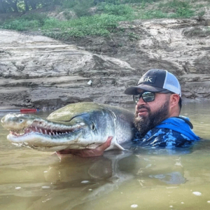 Alligator gar have razor-sharp teeth. For that reason, Nieto uses 200-pound steel leaders and a 150-pound test braided line to reduce the possibility of break-offs. 
