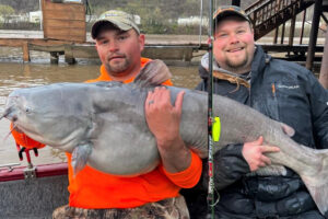 Undeterred by the inclement weather, Cody Carver and Shawn Penix launched the boat in the Kanawha River. The result was a WV State Record Blue Cat weighing 61.28 pounds, 