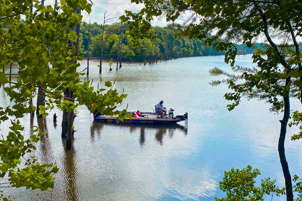 Jackson Lake Alabama