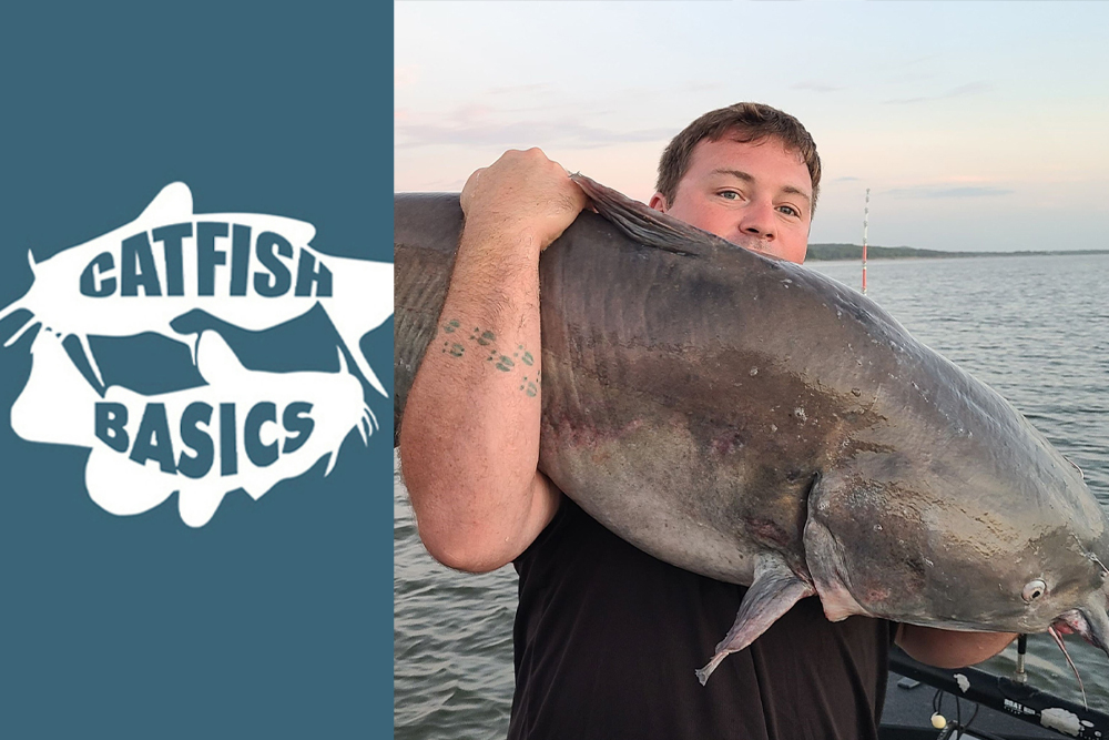 Catfish Basics #141—Food and Comfort by Jason Phelps