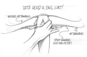 Careful handling of gafftopsail cats is needed to prevent injury. This diagram demonstrates the safe holding technique described in the story. (Joe Mahler Photo)
