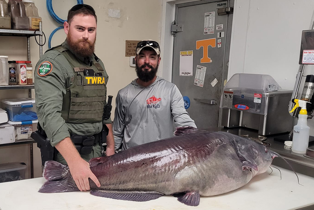 Tennessee Wildlife Officer Dalton Gooch pictured with Micka Burkhart (right) with the likely new Tennessee State Record Blue Catfish. The fish, which was released alive, weighed 118.7 pounds on certified scales, topping the 24-year-old previous record of 112 pounds. (Photo courtesy Bryan Ladd)