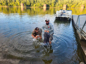 After weighing the huge fish on certified scales, Micka Burkhart (right) and his friend, Bryan Ladd, prepare to release the giant catfish alive back into the Cumberland River. (Photo courtesy Bryan Ladd)