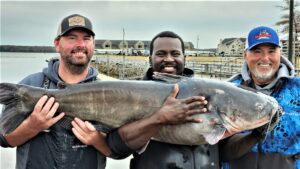 Following a 2nd place finish at the North Alabama Catfish Trail event, Secody teamed up with Doug McAnally and Matt Russell to fish the Cabela’s King Kat Classic where they captured the Big Kat award with this 69 pound blue.