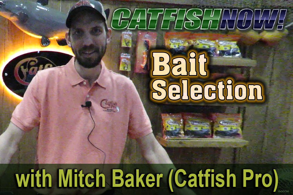 Catfish Bait Selection with Mitch Baker of Catfish Pro