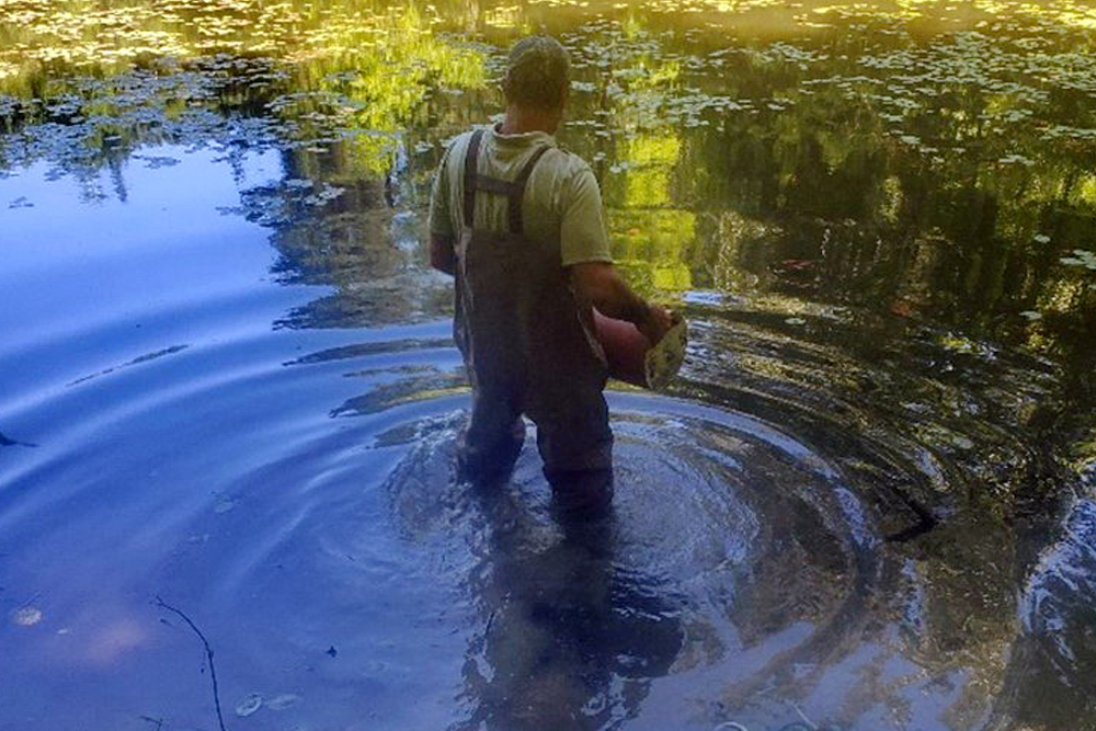 Fisheries biologist Chad Menke deploys a catfish casa in a pond on Hoosier National Forest. | Hoosier National Forest Catfish
