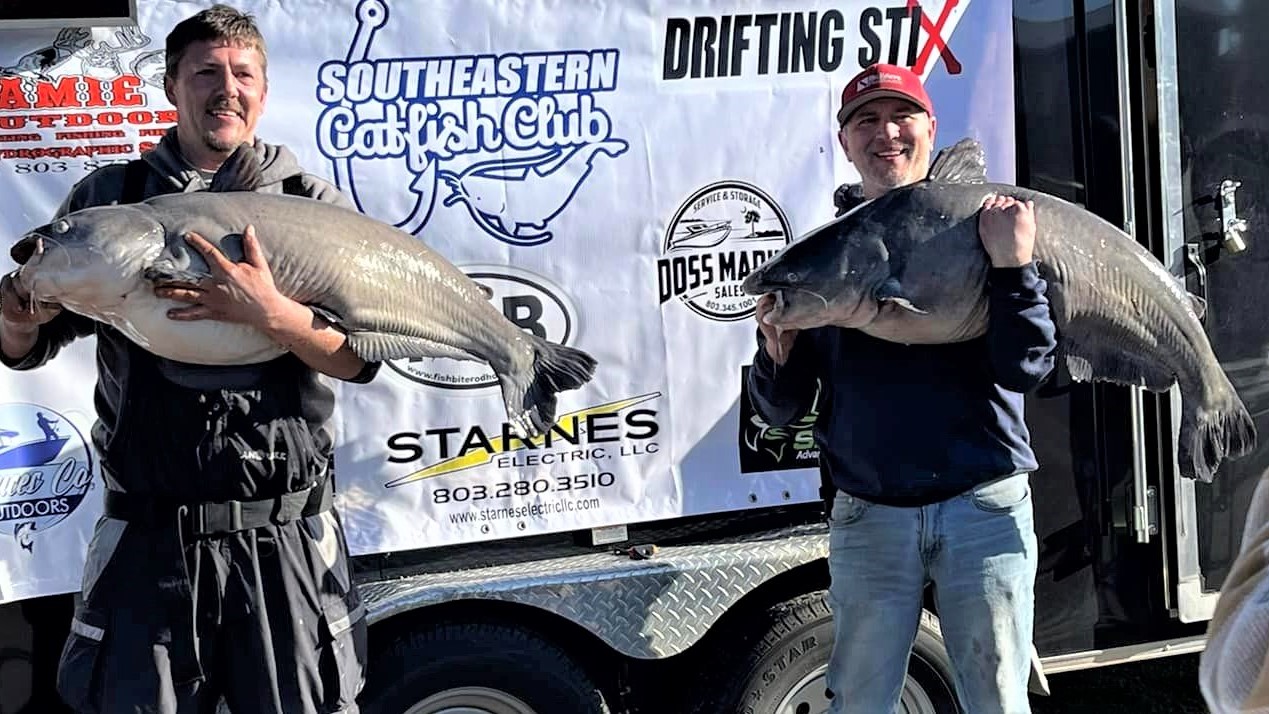Lake Wylie's blue catfish are there for the taking, if you go to the lake  with a good plan