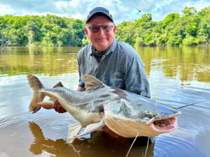 Ian Henderson caught this hefty piraiba in the Essequibo River. This particular fish was “fin perfect.” The delicate extensions on the tail and other fins often are bitten off by piranhas, but those on this fish were still intact.