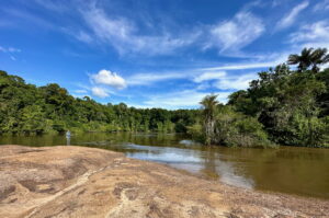 A scenic view of the Essequibo River bordered by the Iwokrama rainforest.