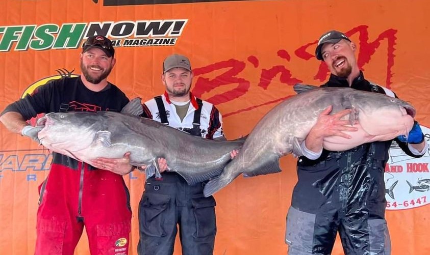 Catfish, tournament, blue cat, flathead, channel cat, CPR, fish care, The CatMasters, Wheeler Lake, Decatur, Alabama, Bryan St. Alma, Jeremy Busby, Ty Lee Nall, James Milton, Jesse Swan, Anthony Murphy, Brant Bullock, Mike Tomas, Donnie Fountain, Lewis Miller, Jason Arrington,