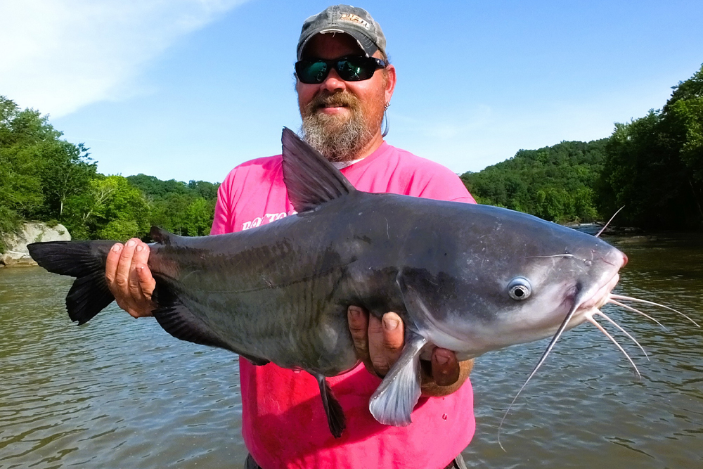 Professional catfishing guide and tournament angler Scott Peavy says moving water creates ideal opportunities to catch fat cats in skinny water.
