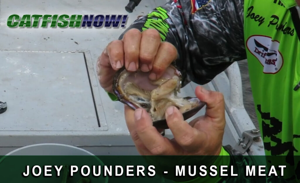 CFN How to Video with Joey Pounders—Mussel Meat