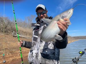Guide Jordan Leer pulls a blue catfish into the boat during a spring fishing trip at Truman Lake.