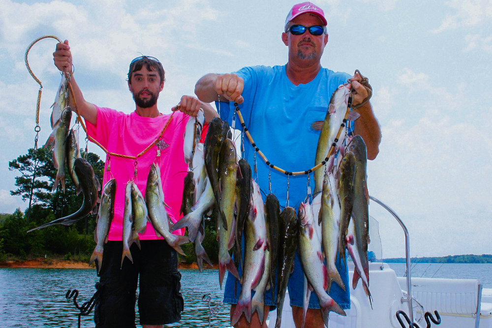 For fast-paced catfishing action, follow Jerry Kotal's five-step process.