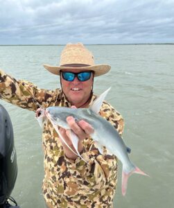 If you’re fishing for redfish, trout or other inshore species from Texas to Florida, it’s a good bet you’ll tangle with a gafftopsail catfish sometime during the day.