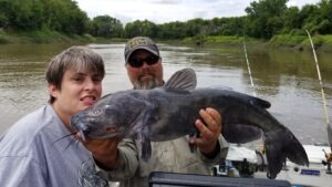 This big black male channel catfish has a swollen head scratches all over its face from being in a mid-river snag pile protecting its nest. Catfish can get very beaten up during the spawn.