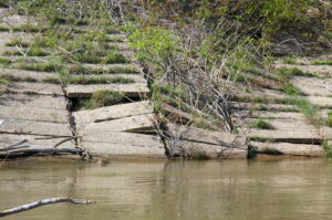 When underwater, holes in buckled revetment provide ideal catfish spawning sites.