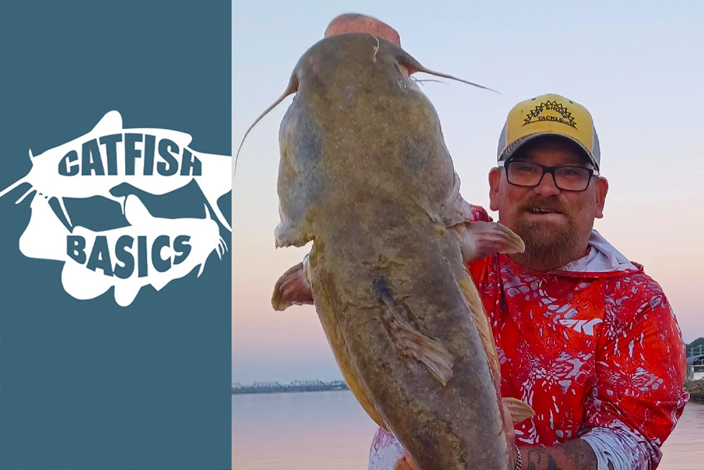 Catfish Basics #156—Water Temps & Flathead Baits with Matt “CatMatt” Jones