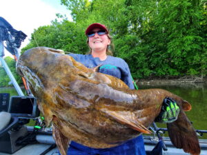 West Virginia catfish guide Tabitha Linville often catches monster flathead catfish like this one in water as shallow as 10 feet. The big predators lurk around logjams and bluegill beds in spring plucking tasty morsels. (Tabitha Linville photo)