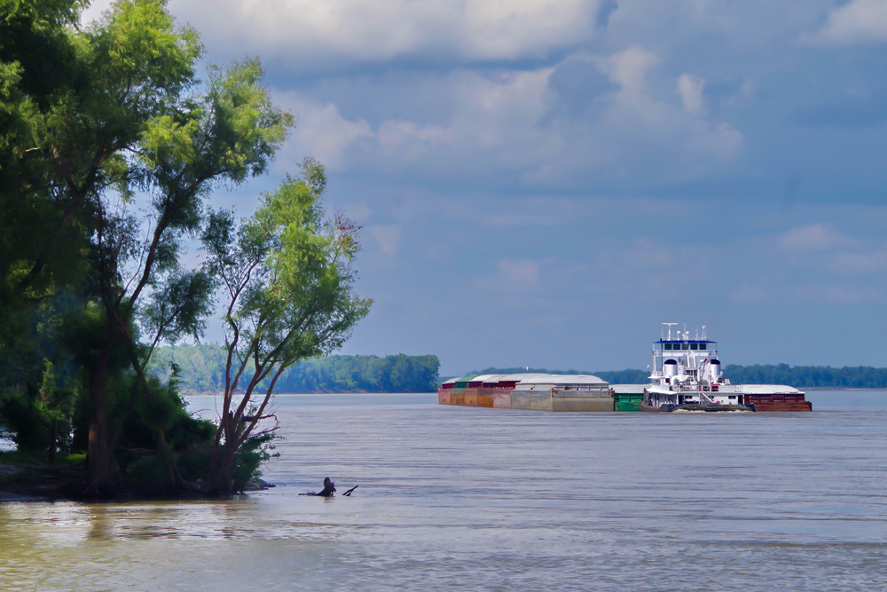 A five-year study of the Lower Mississippi River in Arkansas, Illinois, Kentucky, Louisiana, Mississippi, Missouri and Tennessee will help guide Corps of Engineers management and conservation efforts well into the future.