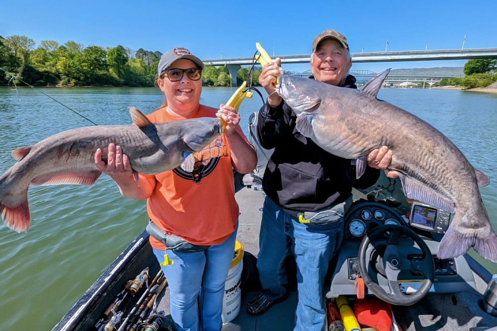 Heavy Cats on Light Tackle - Catfish Now