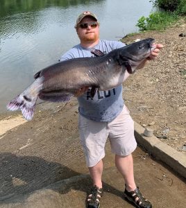 This 37-1/2-pound channel catfish set a West Virginia state record just a little over a year after the previous record-setting catch, a fish weighing 36.96 pounds. Both channel cats came out of South Mill Creek Lake in Grant County and were caught by the same angler, Allen Burkett of Moorefield. (Photo courtesy of West Virginia DNR)