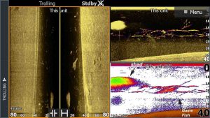 Baitfish, gamefish and the thermocline can easily be seen on down and side scanning in the wide sonar beam of 455kHz, while High CHIRP with a smaller beam captures a better image of baitfish and fish. (Photo by Brad Wiegmann)